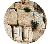 Trip to Israel